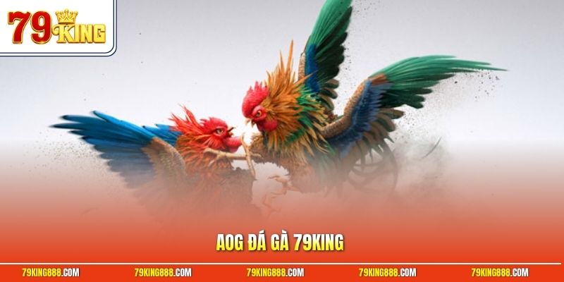 AOG đá gà 79King