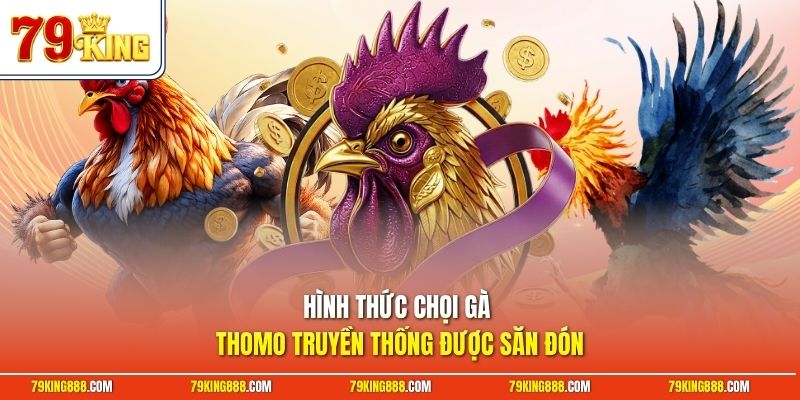 Hình thức chọi gà Thomo truyền thống được săn đón