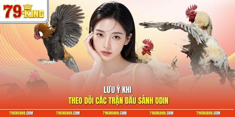 Lưu ý khi theo dõi các trận đấu sảnh Odin