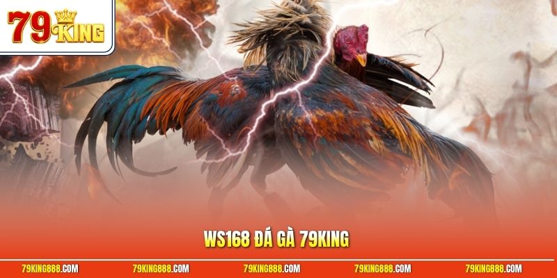 WS168 đá gà 79King